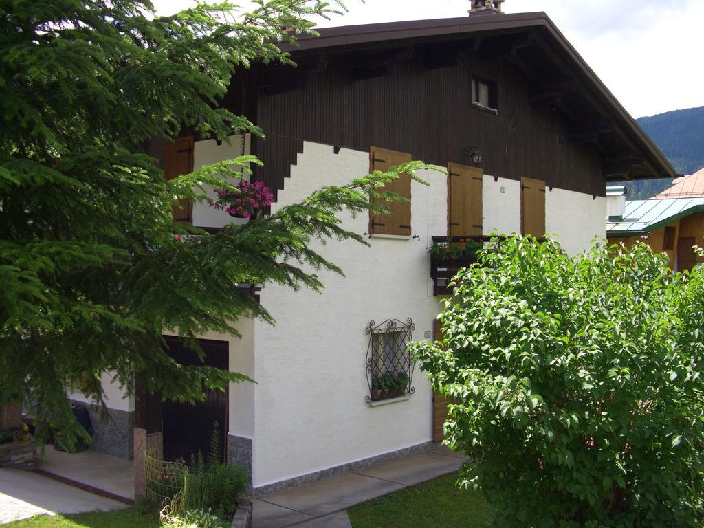 法尔西德Mountain Chalet Cime D'Auta Dolomiti公寓 外观 照片